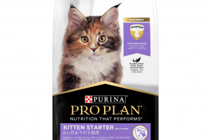 ProPlan Kitten Starter: Nutrisi Unggul untuk Memulai Kehidupan Kucing Anda